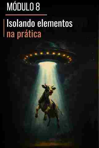 MÓDULO 1 (19)