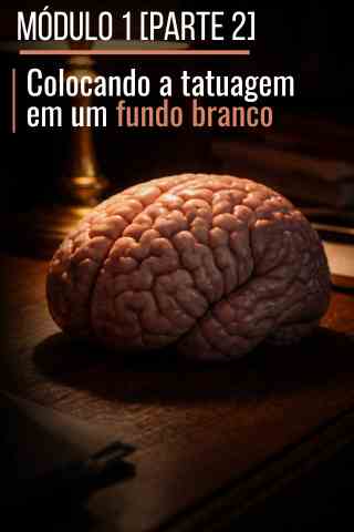MÓDULO 1 (2)